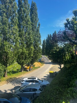 Jeruzalem_topoli_junij2026_a